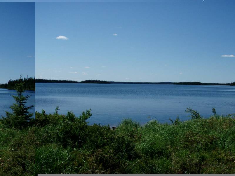 Original image