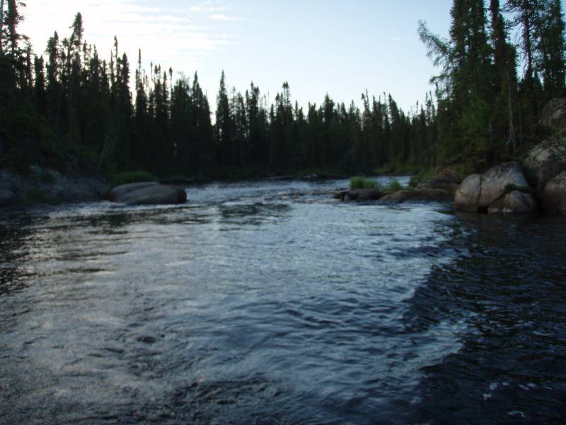 Original image
